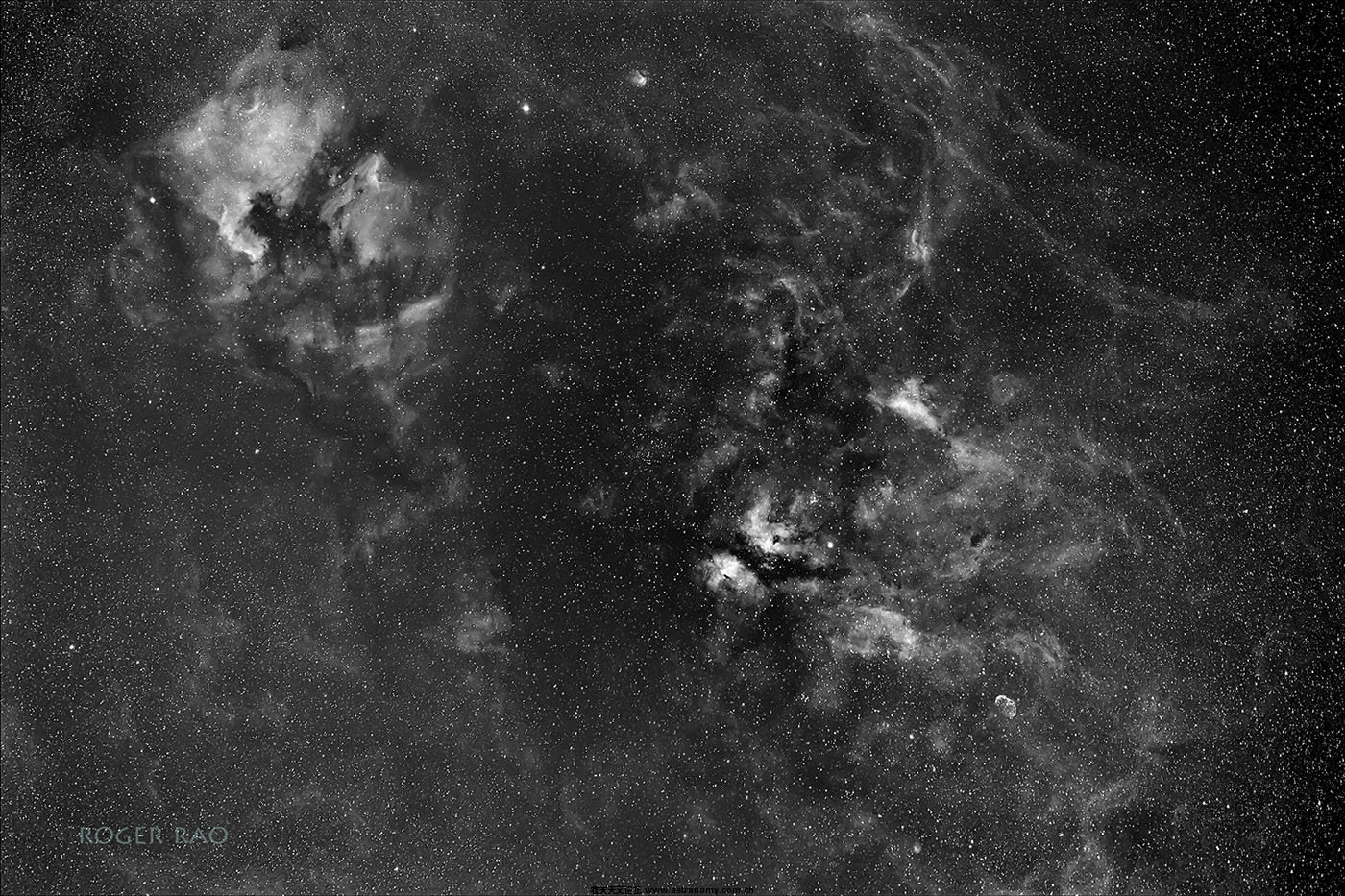 15mx8Ha-1400.jpg