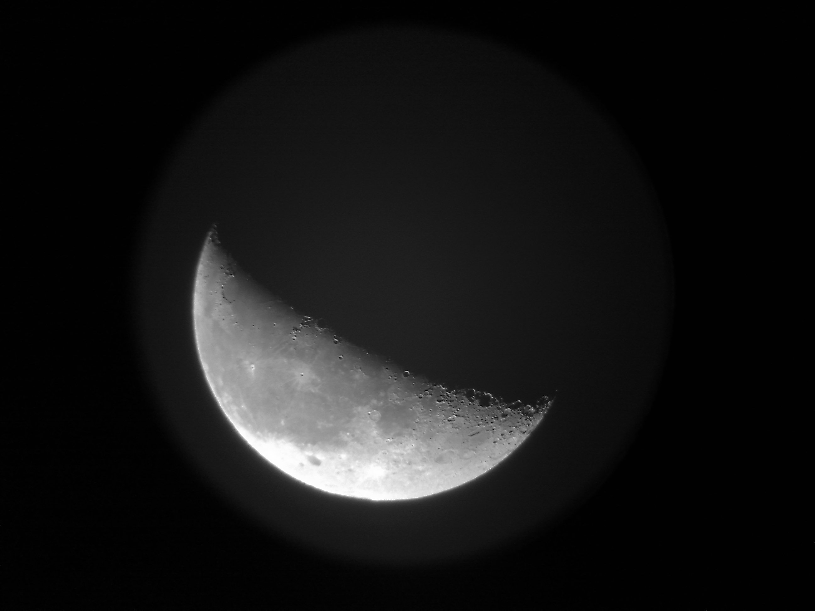 20100706068.jpg