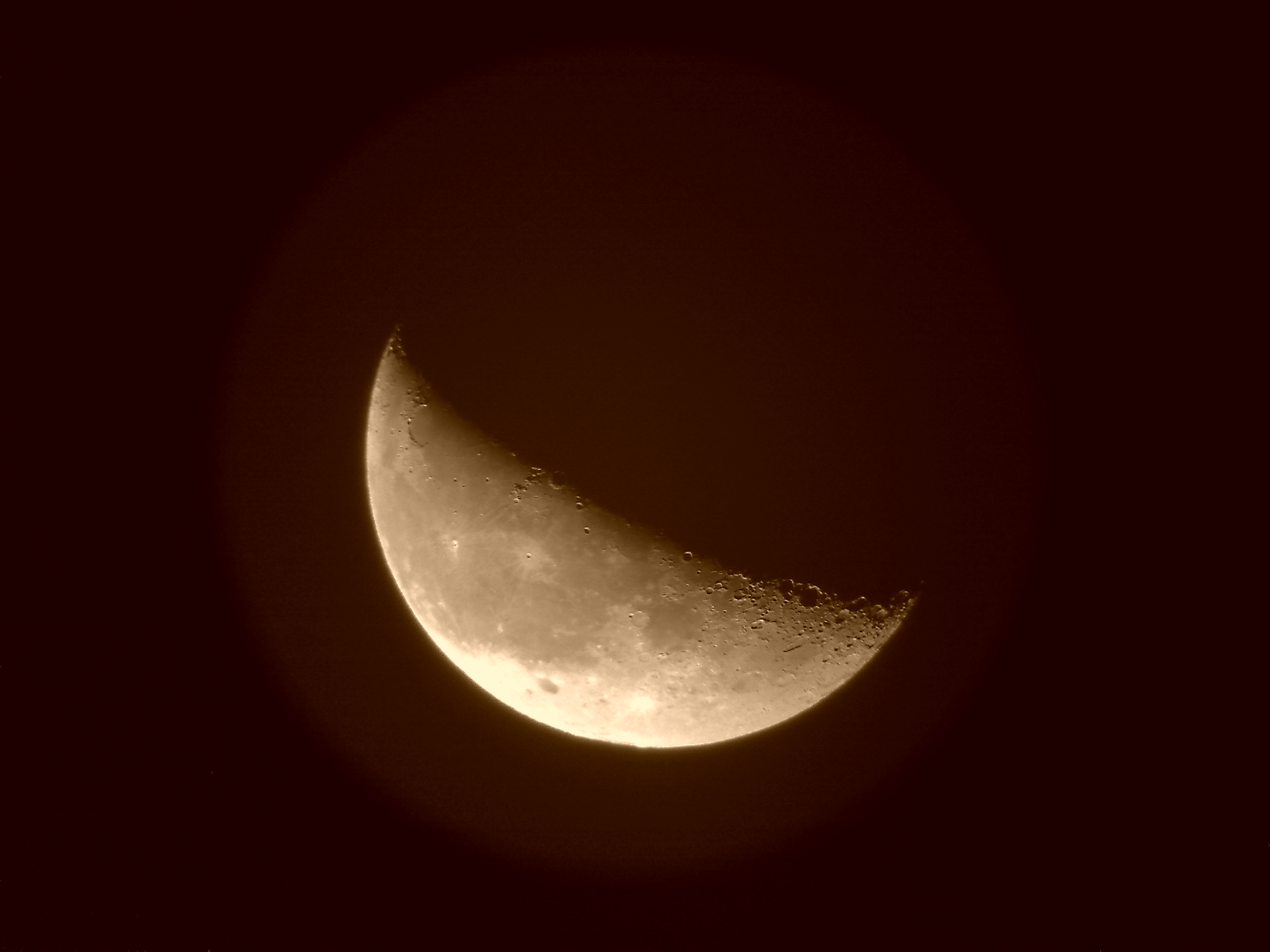 20100706067.jpg