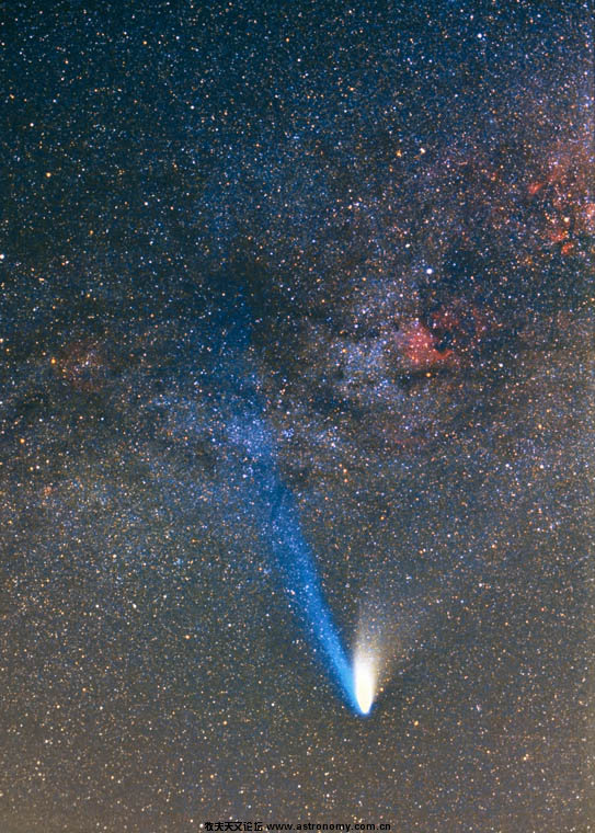 王伟豪海尔波普彗星.jpg