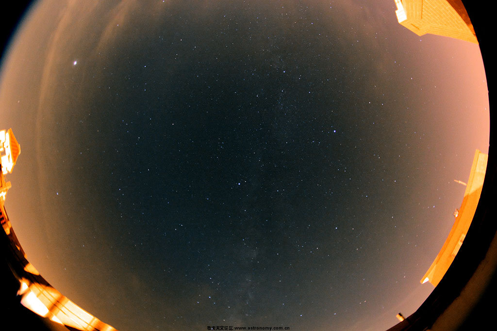 20100710a.jpg