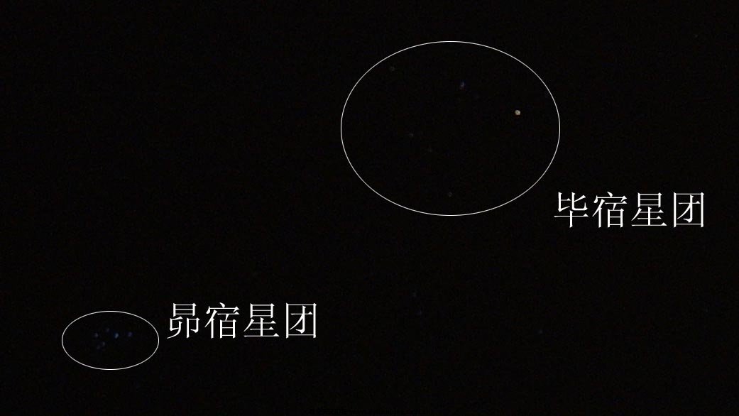 SUC54076 拷贝.jpg