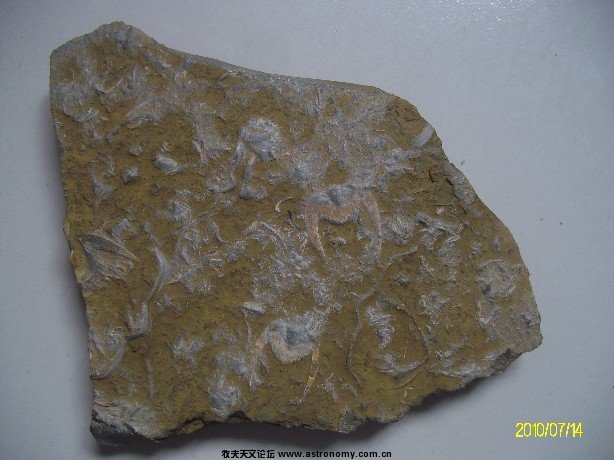 ALIM5014.JPG
