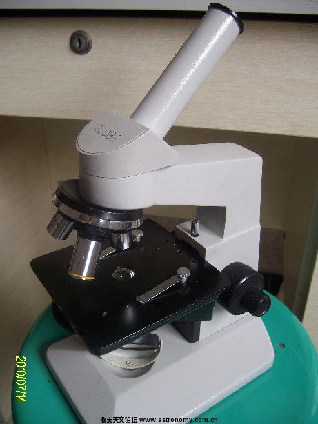 ALIM5017.JPG