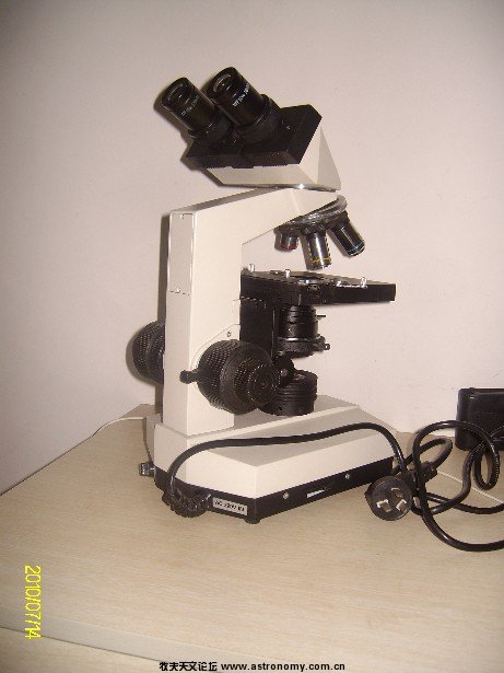 ALIM5027.JPG