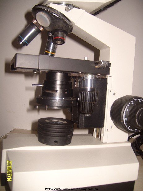 ALIM5032.JPG