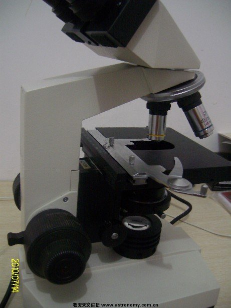 ALIM5036.JPG
