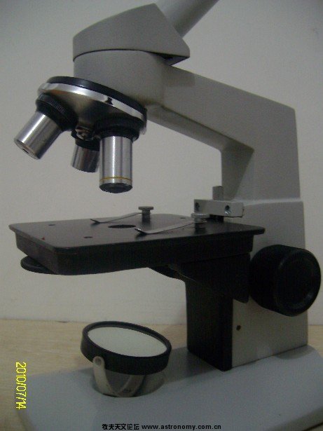 ALIM5054.JPG