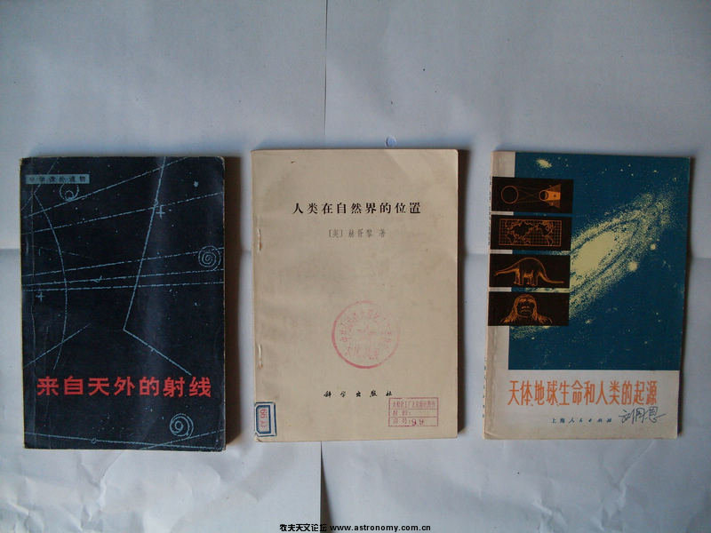 nEO_IMG_SDC10545.jpg