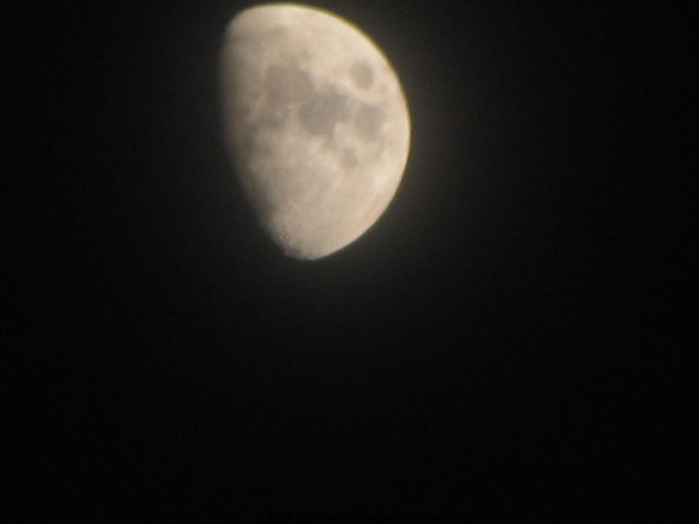 IMG_0336.JPG