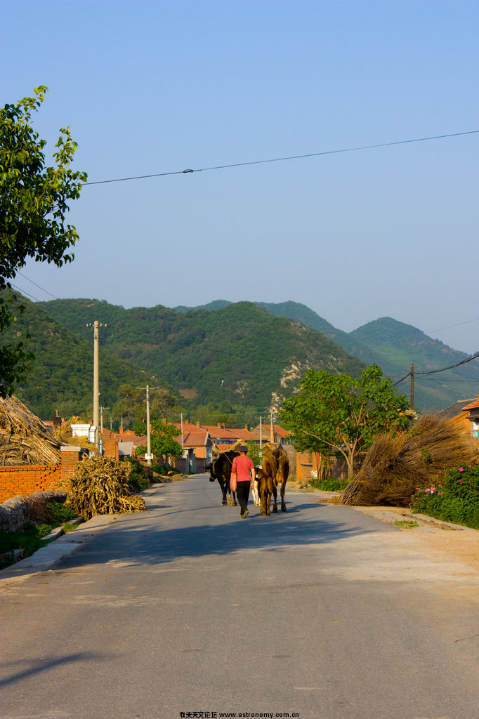 _MG_8297.jpg