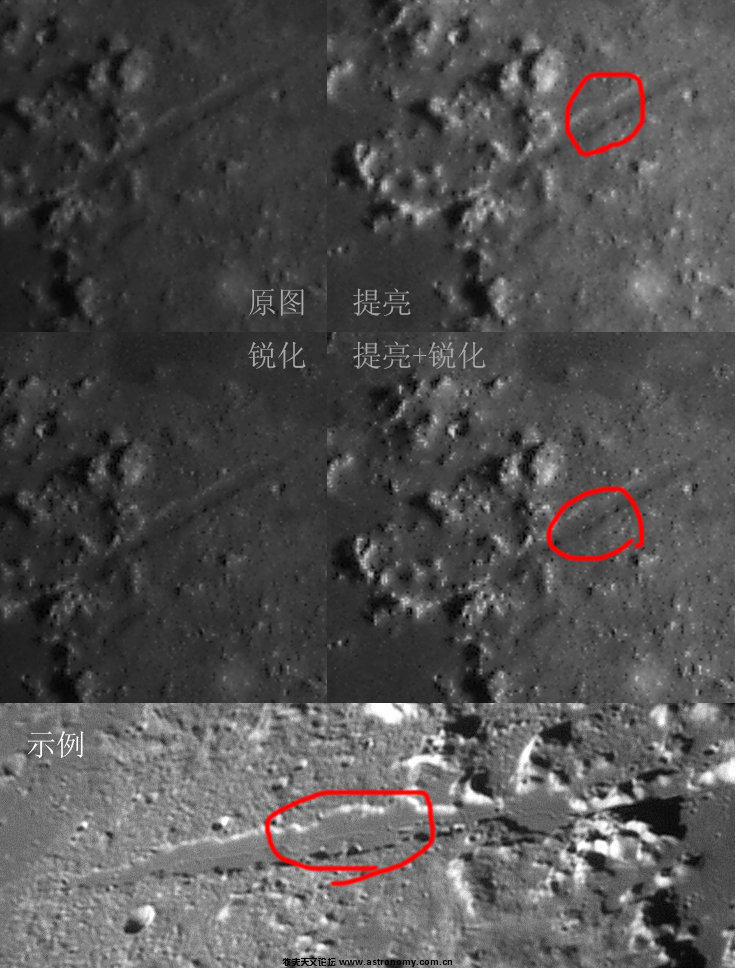 IMGP9542.jpg