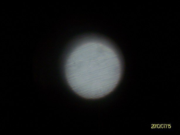 ALIM5091.JPG