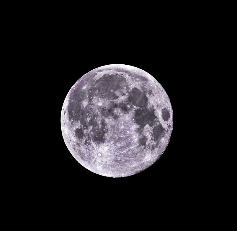 _D3071771.jpg