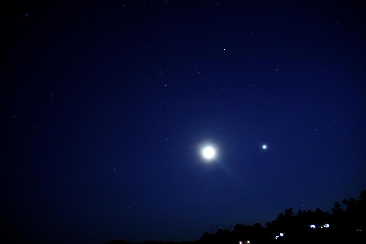 三星照月狮为伴.JPG
