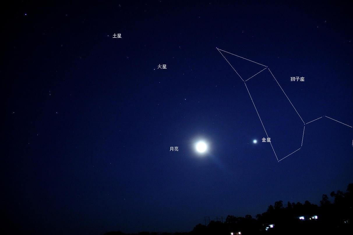 复件 三星照月狮为伴.JPG