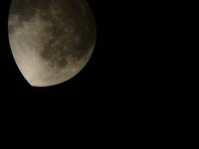 XFpicture00313.jpg