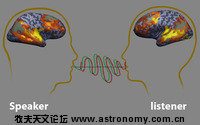 sn-neural-thumb-200xauto-3916.jpg