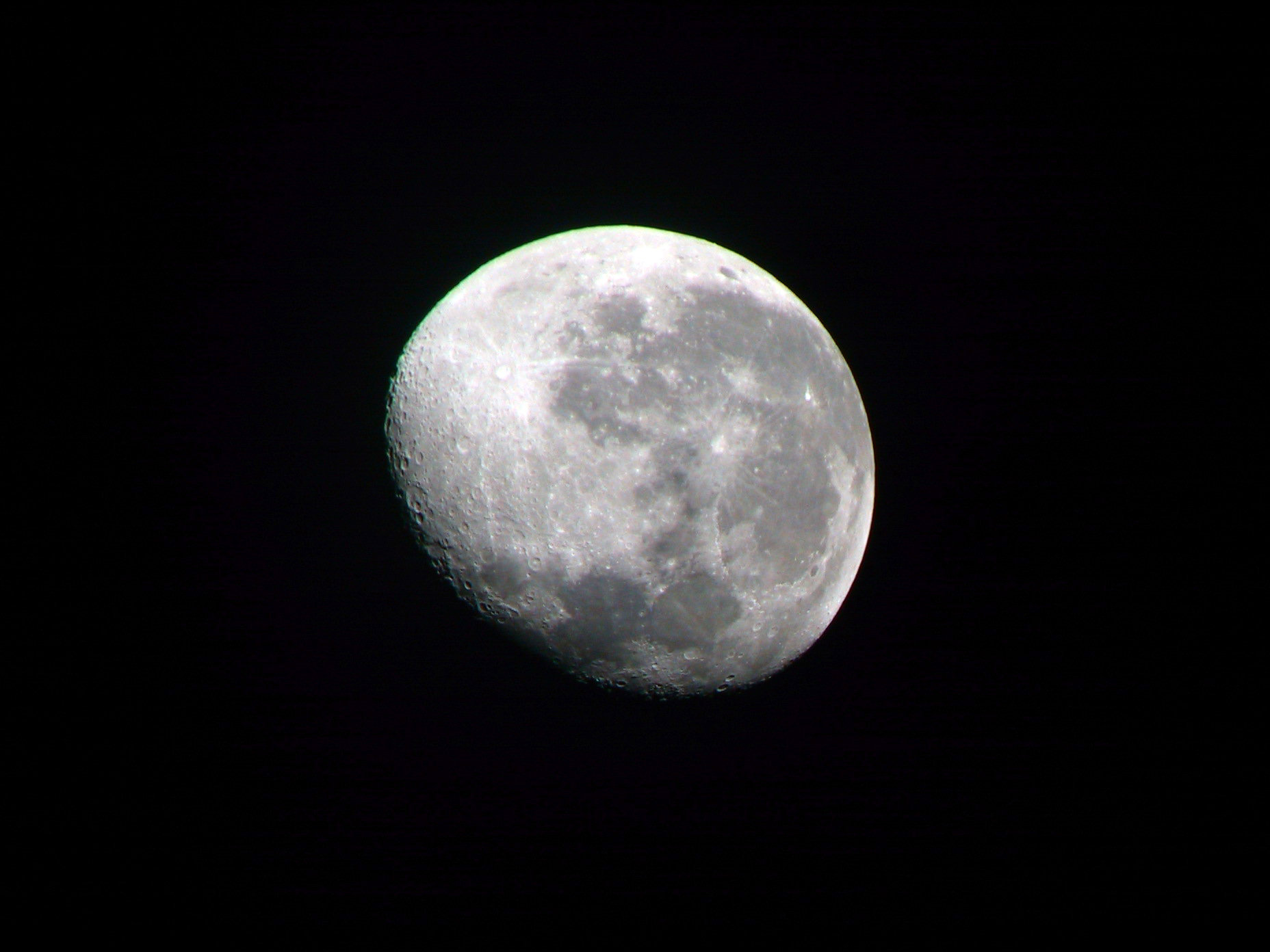 IMG_5883y.jpg