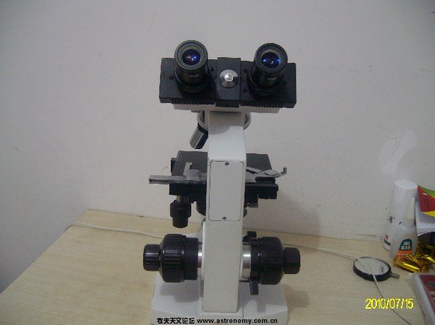 ALIM5105.JPG