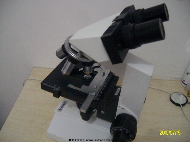 ALIM5104.JPG