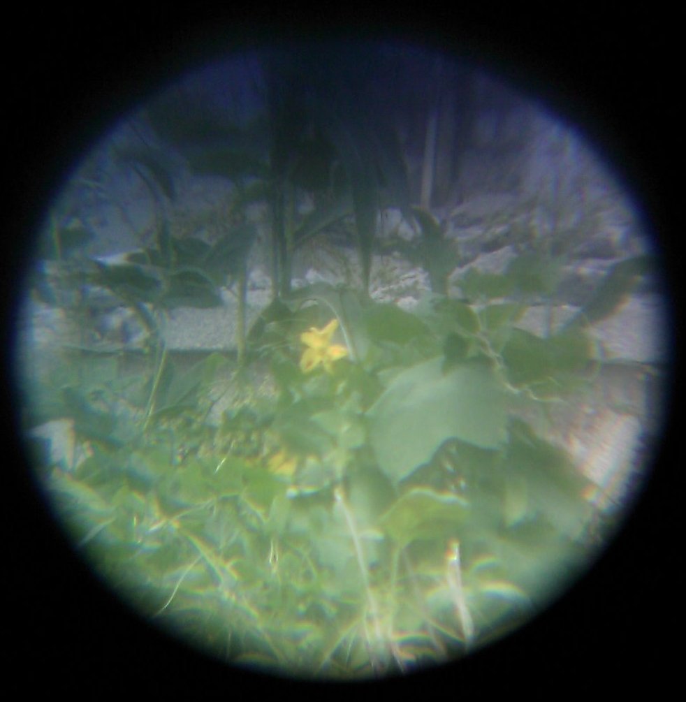 IMAG0009.jpg