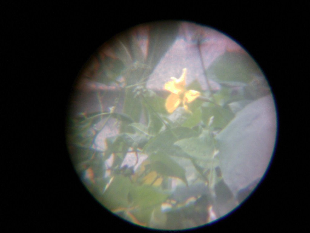 IMAG0012.jpg