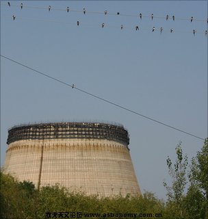 _48555127_chernobyl-swallows3.jpg