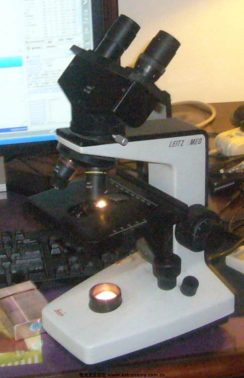 P1100078.jpg