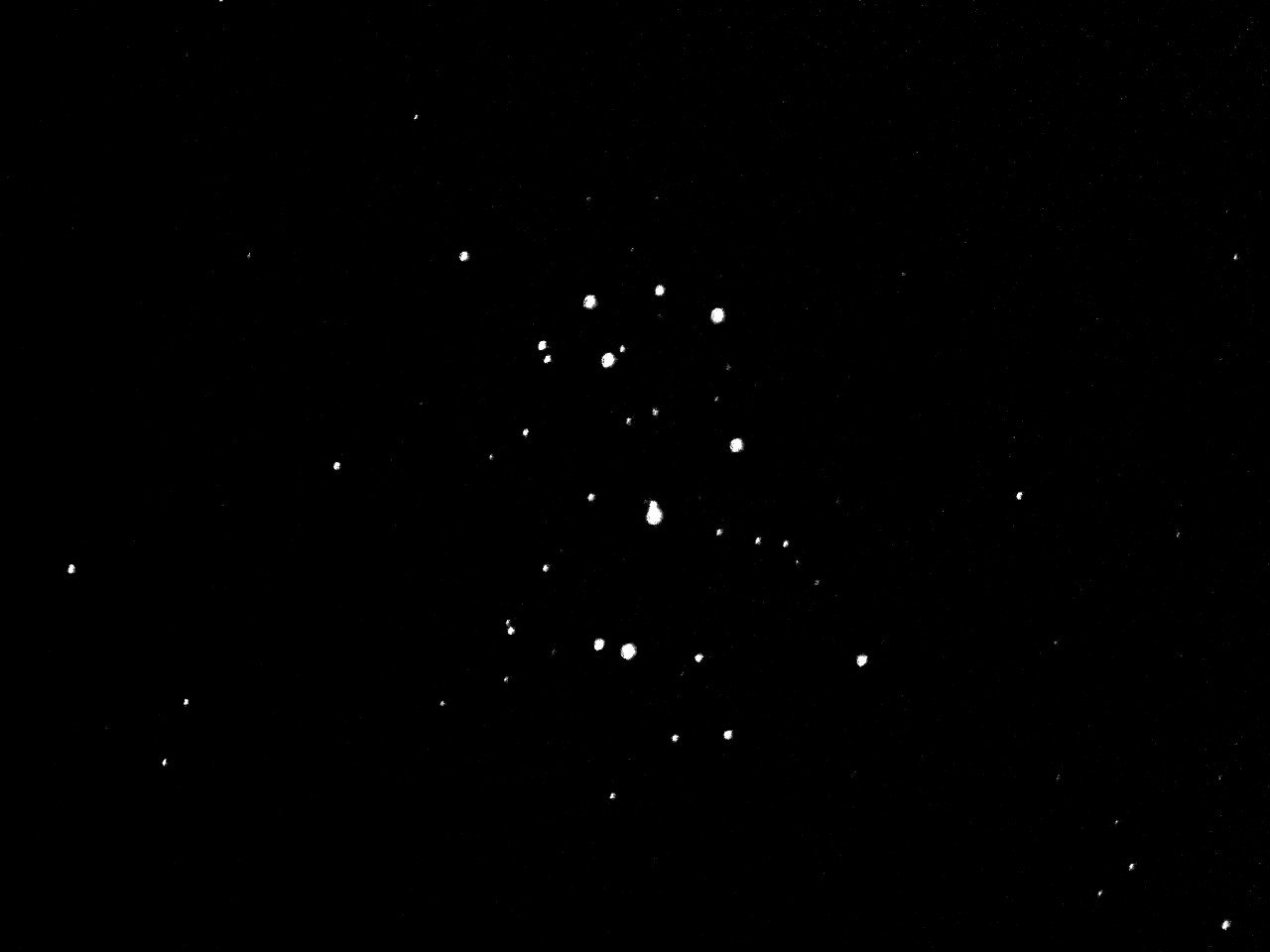 M45