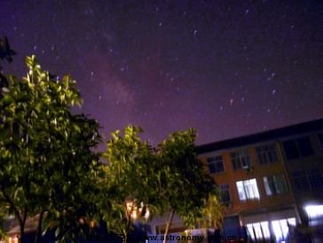 P1010.jpg