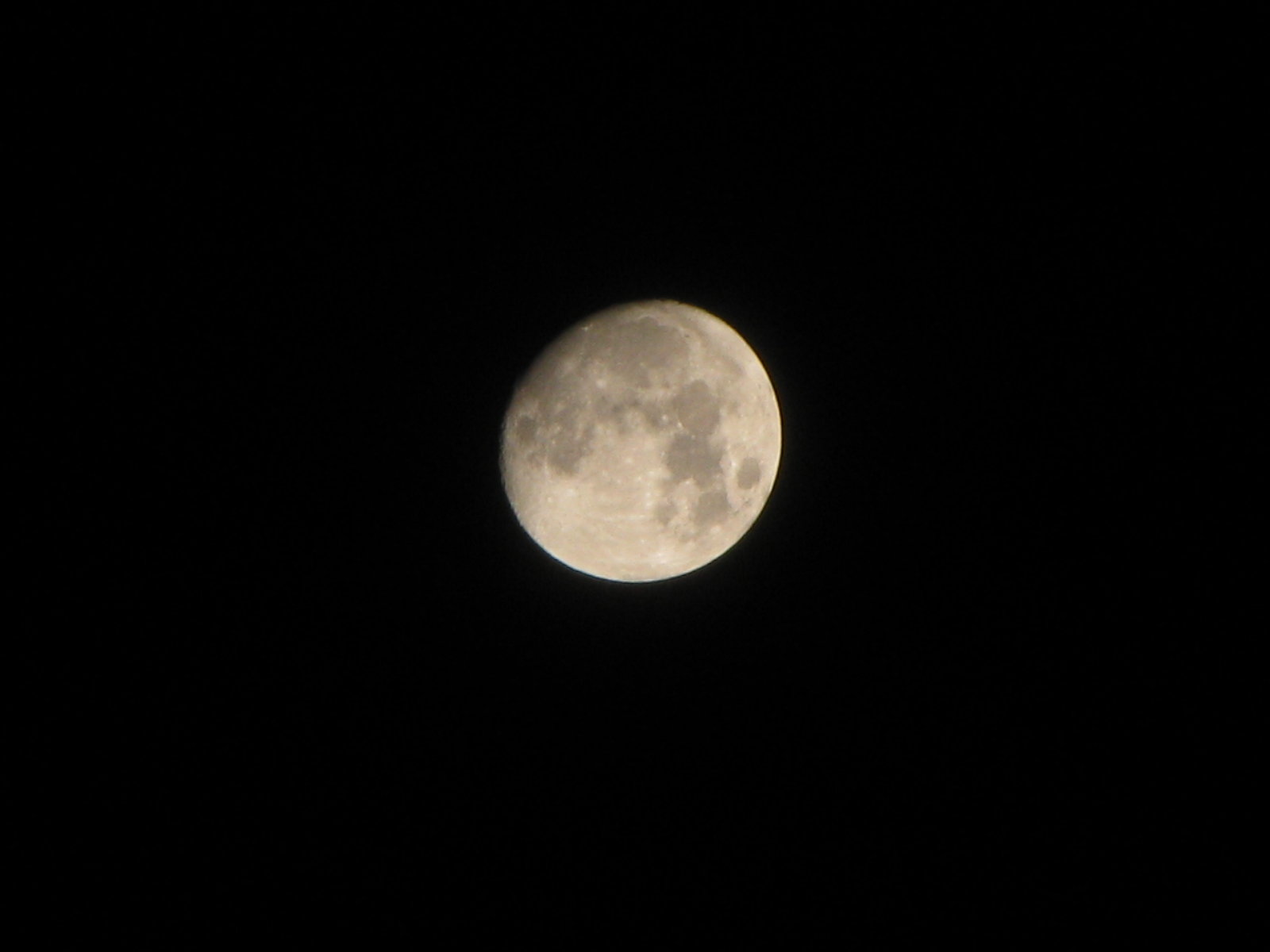 IMG_0424.JPG