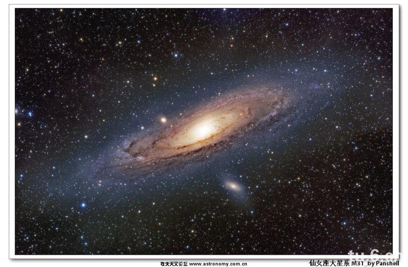 M31