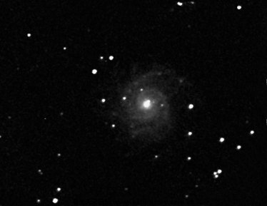 M74 Phantom Galaxy.jpg