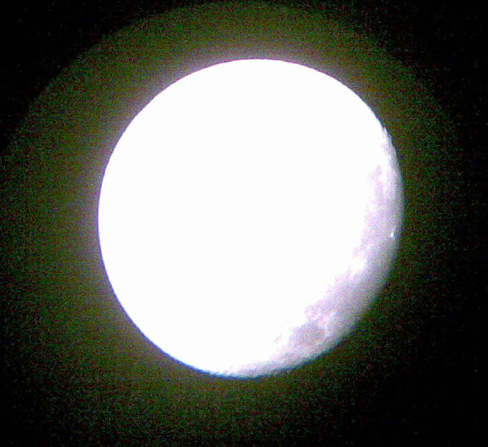 pic 3.jpg