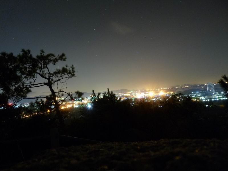 P1020678.jpg