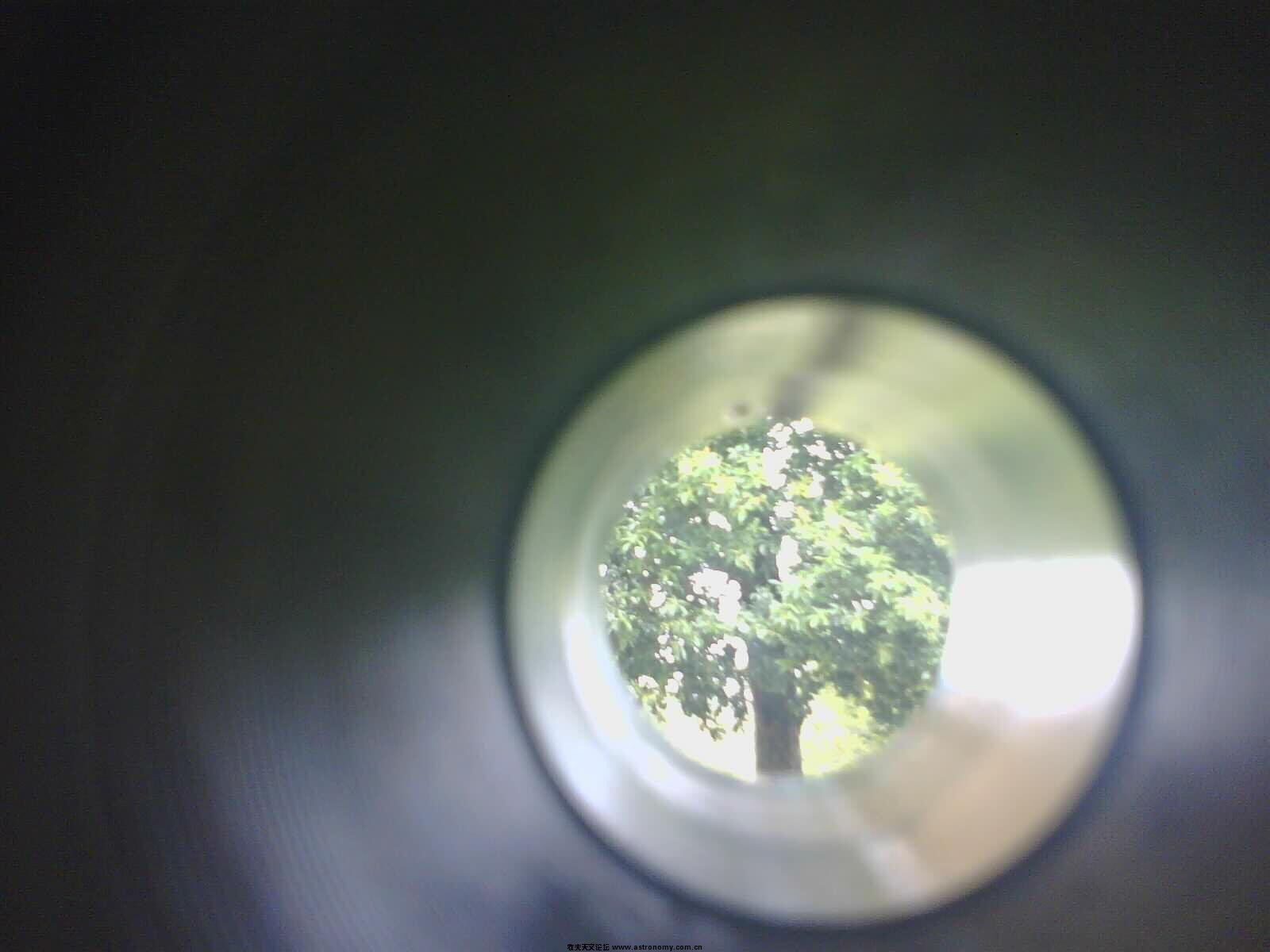 PIC-3.jpg
