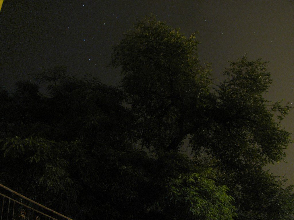 nEO_IMG_IMG_3166.jpg