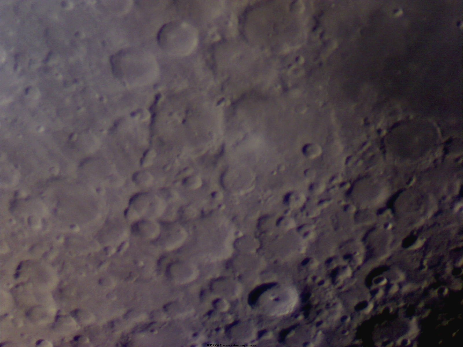 Picture 17.jpg