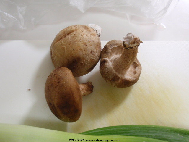 P8201007.JPG