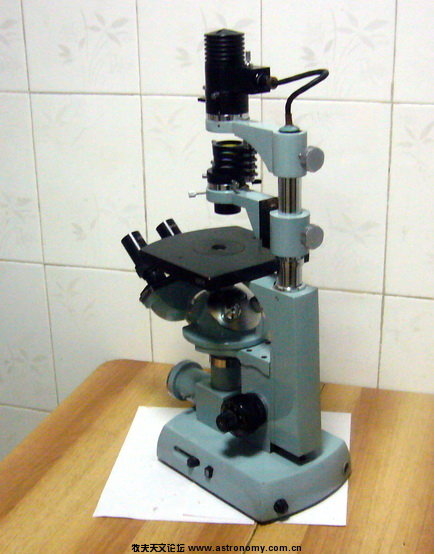 P1100154.jpg