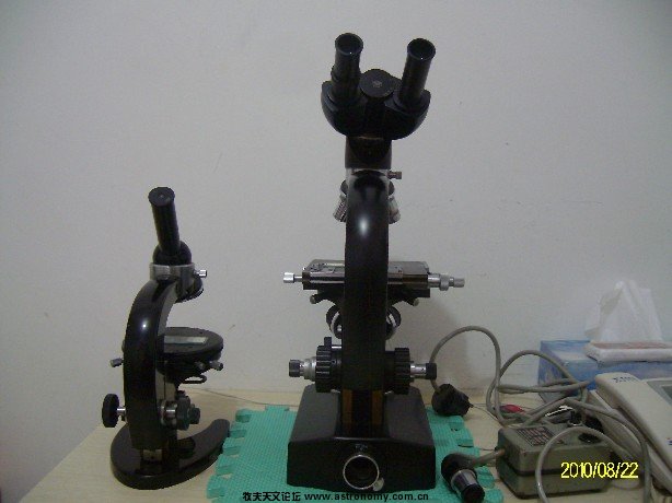 ALIM5229.JPG