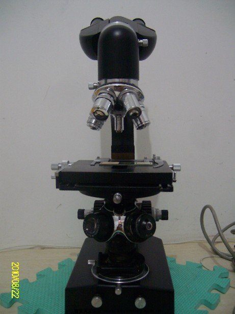 ALIM5234.JPG