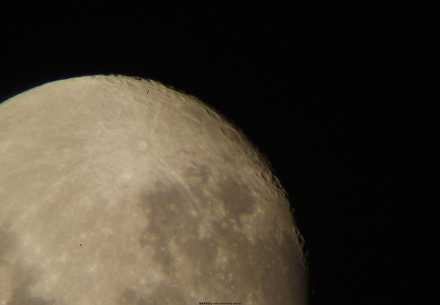 DSCF0979a.jpg