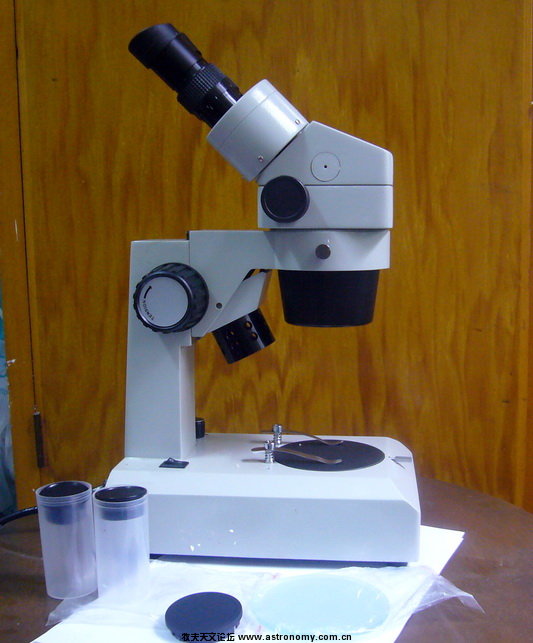 P1100175.jpg