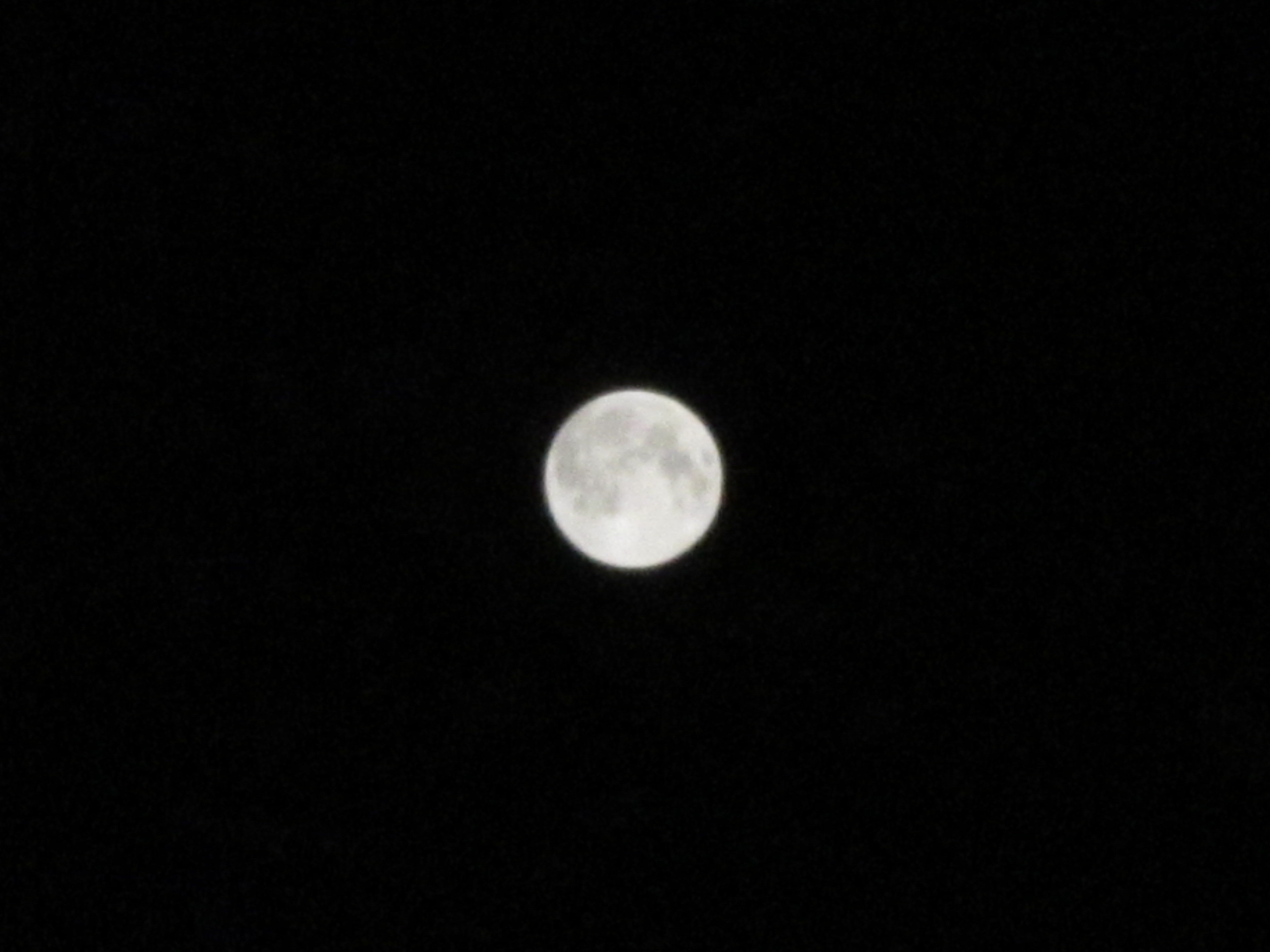 IMG_0407.jpg