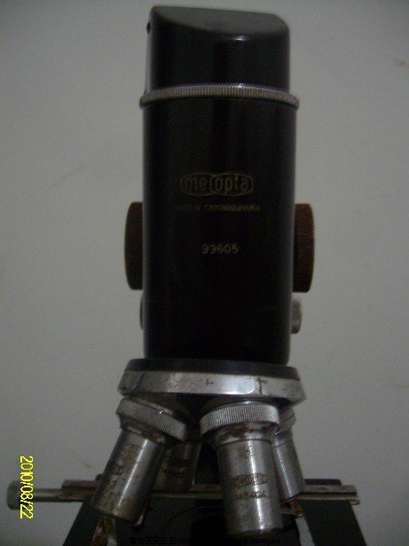 ALIM5248.JPG