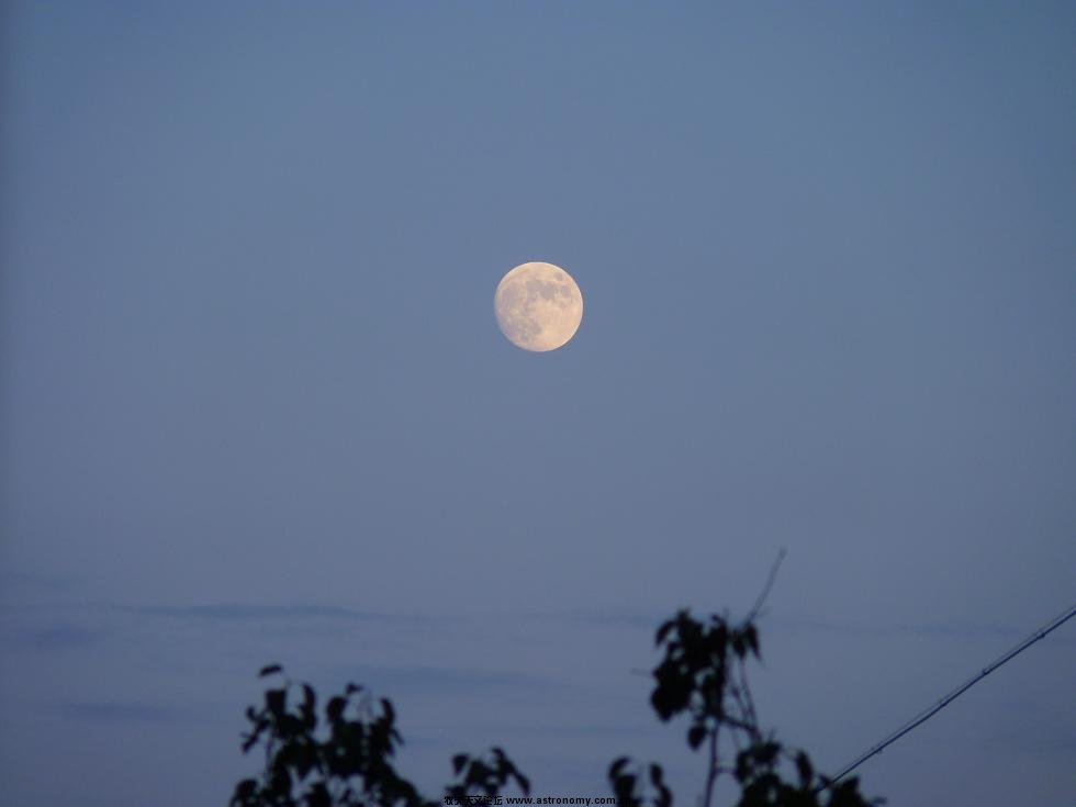 P10000671.jpg