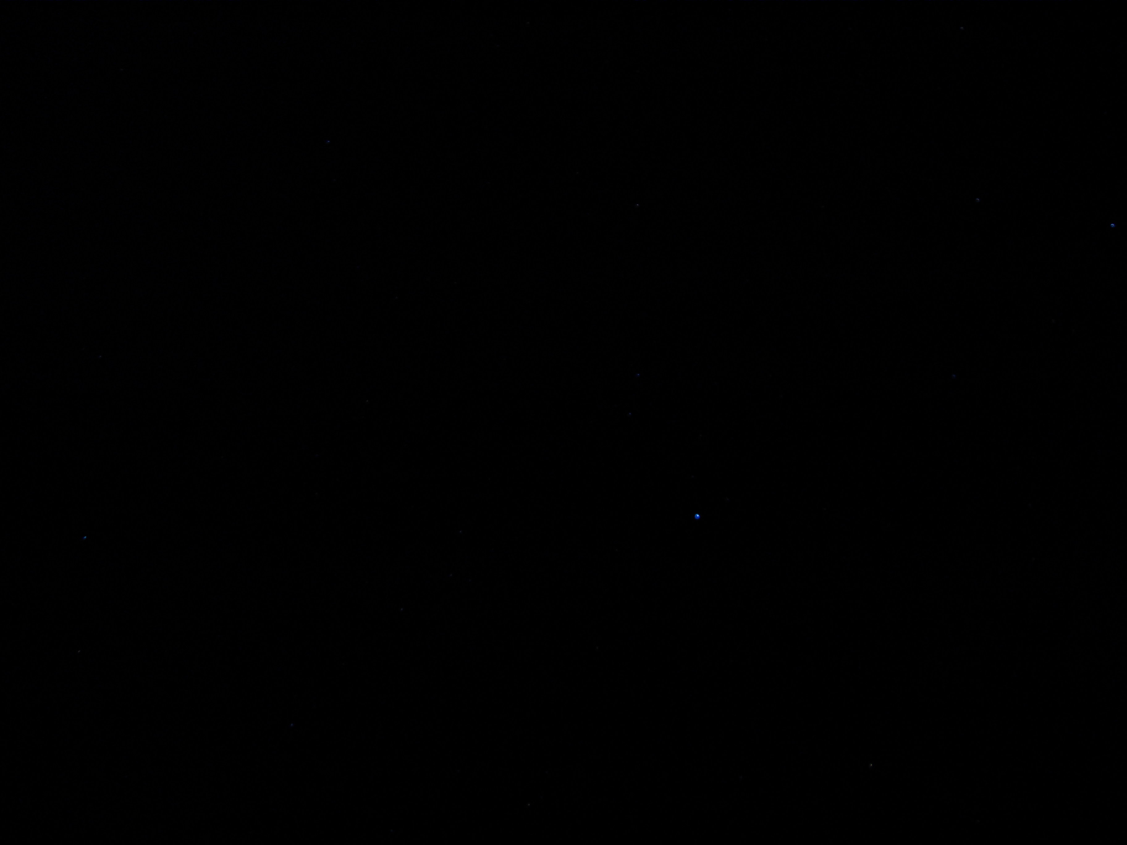 SDC13233.JPG