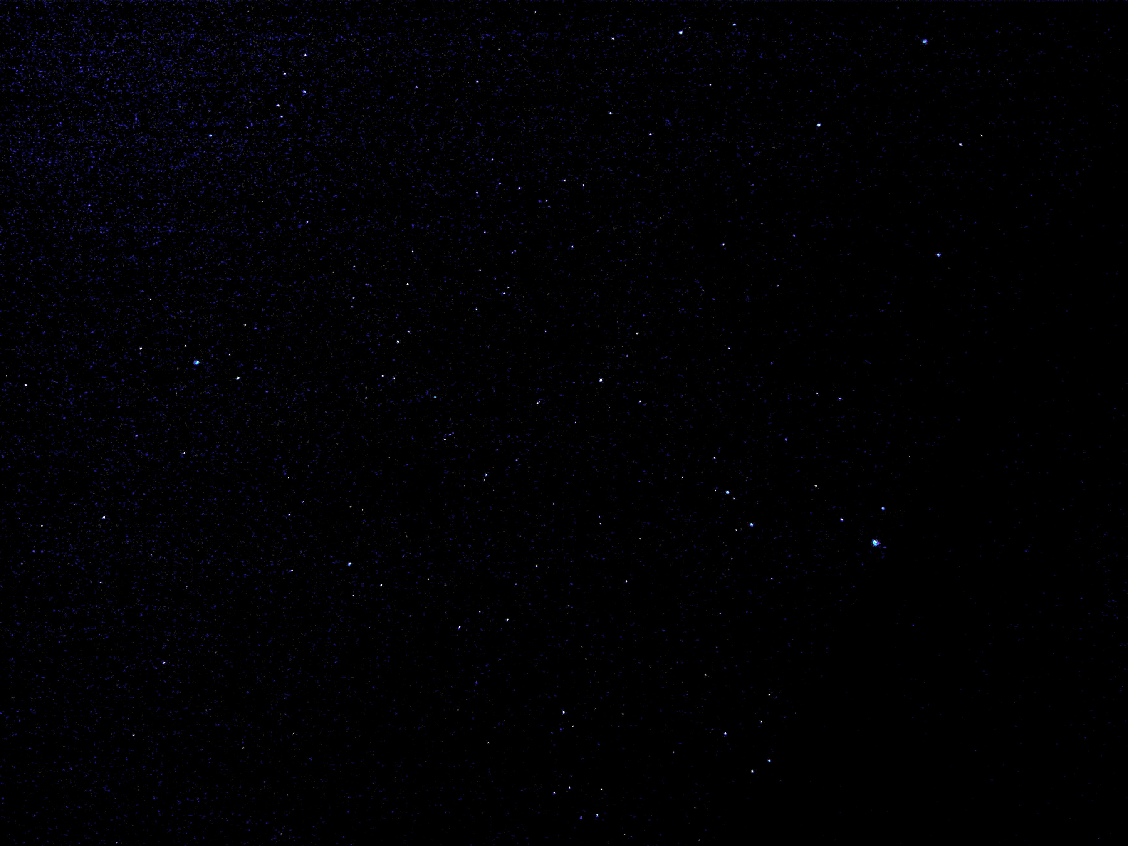 SDC13231.jpg